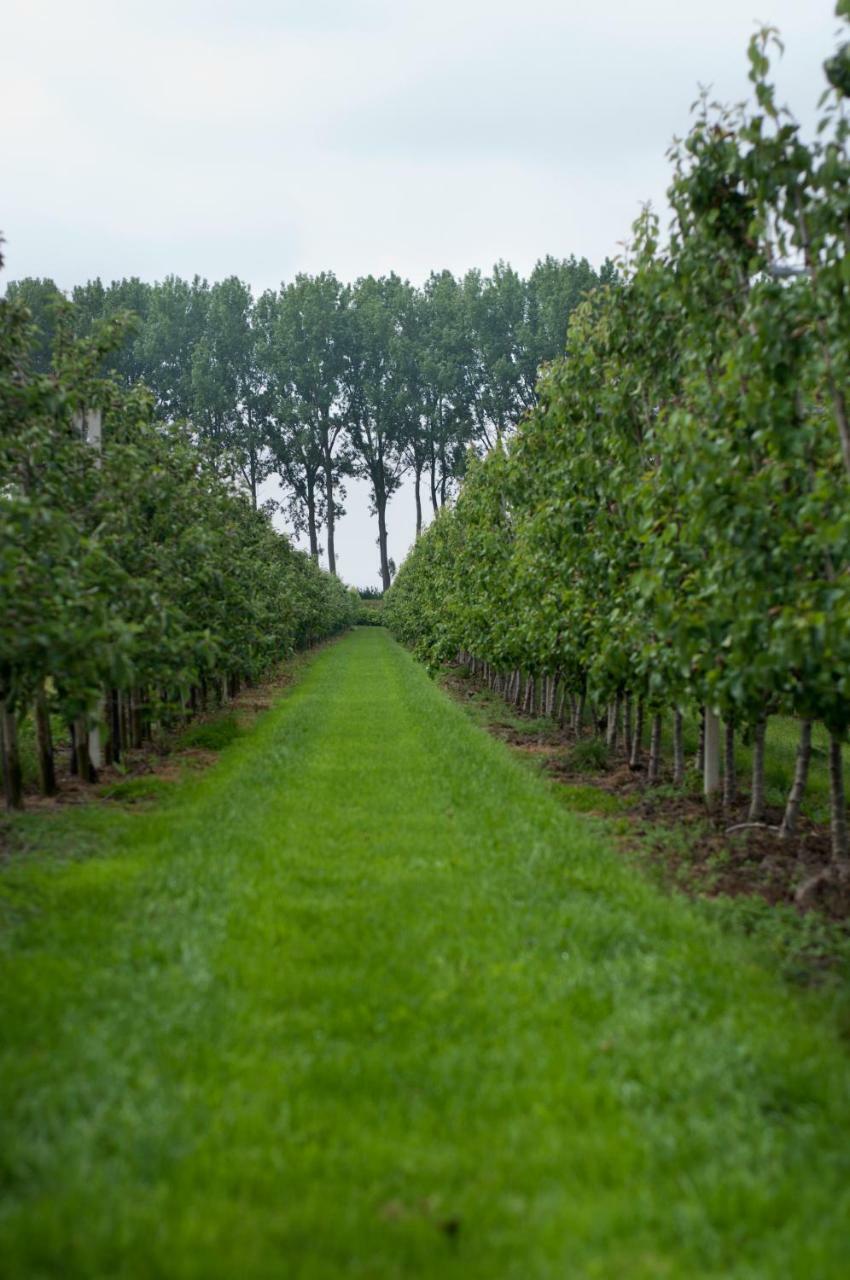 Hoeve Oude Tol Zuidzande Bagian luar foto