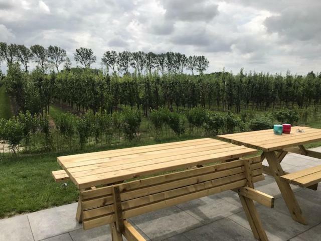 Hoeve Oude Tol Zuidzande Bagian luar foto